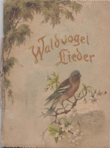 Anna Mayer-Bergwald - Waldvogel Lieder