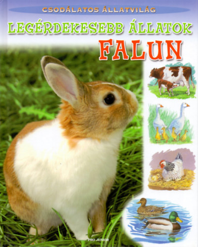 John Dillow  (ill.) - Leg�rdekesebb �llatok falun