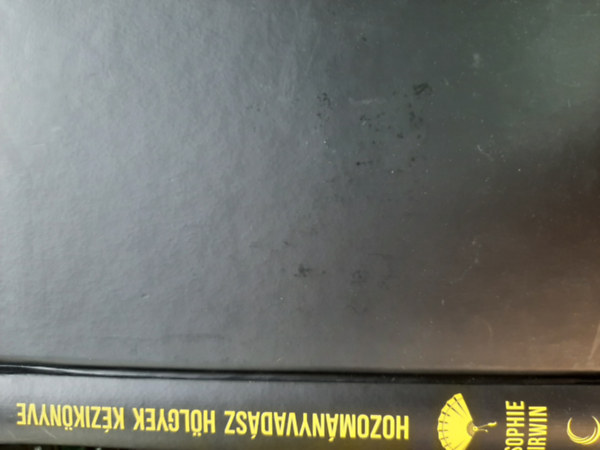 Sophie Irwin - Hozom�nyvad�sz h�lgyek k�zik�nyve