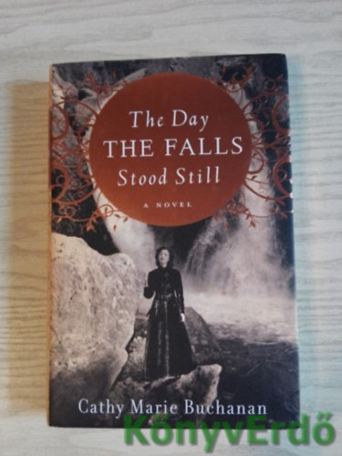 Cathy Marie Buchanan - The Day the Falls Stood Still