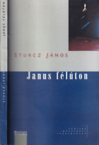 Sturcz János - Janus félúton (dedikált)- Tanulmányok a művészetelméletről, kortárs magyar és amerikai művészetről