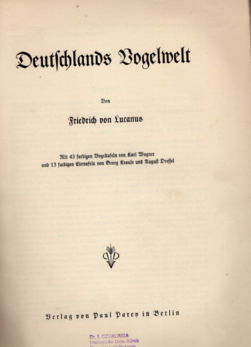 Lucanus von Friedrich - Deutschlands vogelwelt-Nmetorszg madrvilga