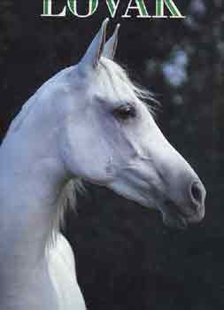 Marietta Whittlesey - Lovak