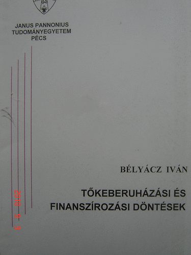 Blycz Ivn - Tkeberuhzsi s finanszrozsi dntsek