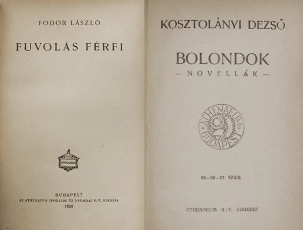 Kosztolányi Dezső Fodor László - Fuvolás férfi, Bolondok (két mű egybekötve)