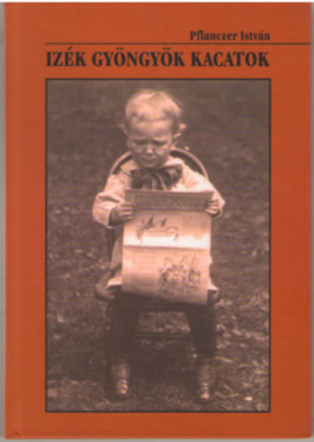Pflanczer István - Izék gyöngyök kacatok