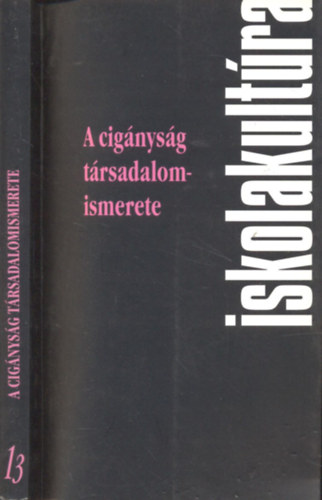 Reisz Terzia  (szerk.); Andor Mihly (szerk.) - A cignysg trsadalomismerete (Iskolakultra-knyvek 13.)