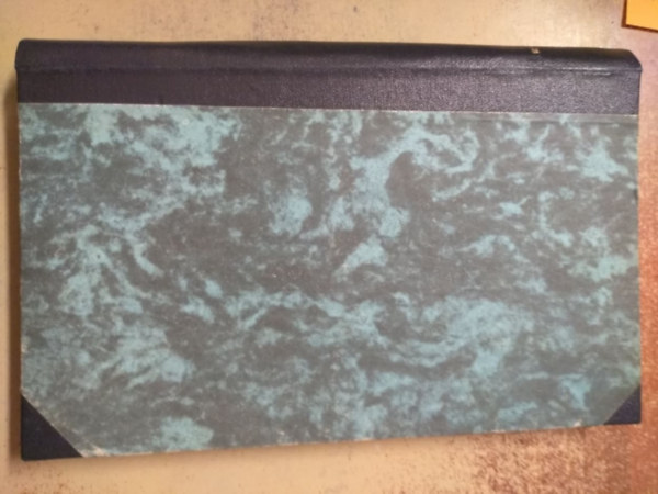 Ambrozovics Meszlényi Ilona - Hajnalka