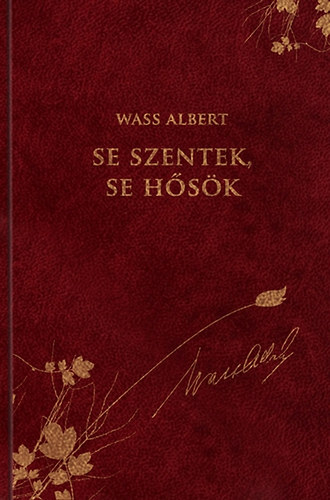 Wass Albert - Se szentek, se hsk - Novellk