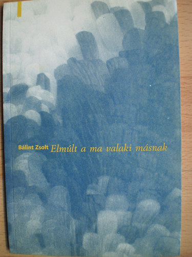 B�lint Zsolt - Elm�lt a ma valaki m�snak
