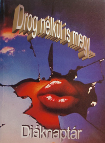 Kajtár Anita Uzsoki Zsuzsanna - Drog nélkül is megy... - Diáknaptár