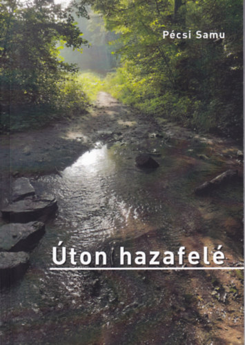 Pécsi Samu - Úton hazafelé