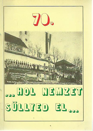 Stoff�n Gy�rgy - "...Hol nemzet s�llyed el..."