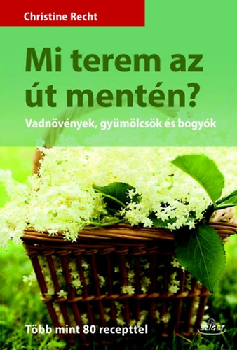 Christine Recht - Mi terem az �t ment�n?