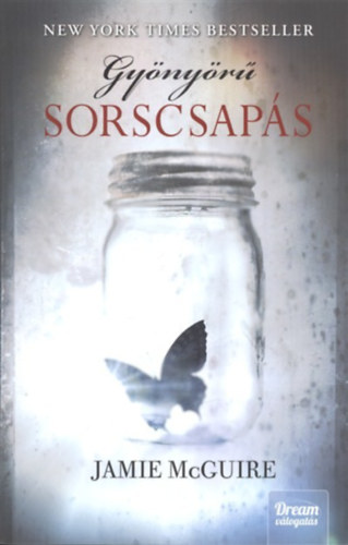 Jamie McGuire - Gyönyörű sorscsapás