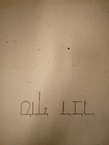 Hana Volavkov� - Schicksal des j�dischen museums in Prag