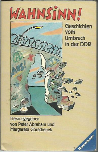 Peter Abraham - Wahnsinn. Geschichten vom Umbruch in der DDR