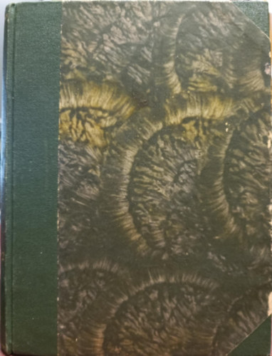 Max Brod - Zsid�l�nyok