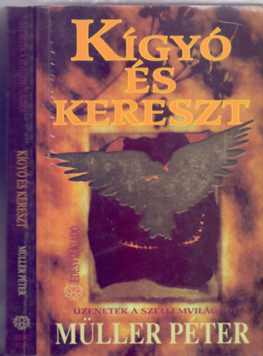 Mller Pter - Kgy s kereszt     - Reinkarnci a gyakorlatban