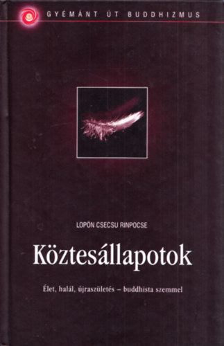 Lopn Csecsu Rinpocse - Kztesllapotok - let, hall, jraszlets - buddhista szemmel