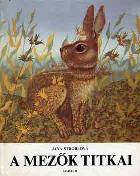 Jana Stroblov� - A mez�k titkai