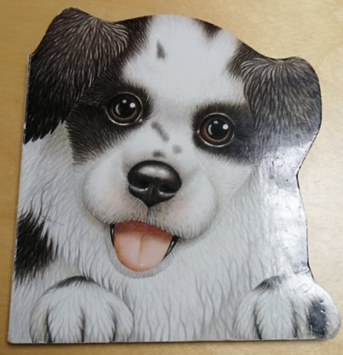 Illusztrálta Lorella Rizzatti - Én vagyok a kutya