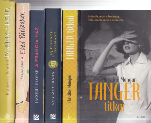 Amy Meyerson, Jacquie Bloese, Elizabeth Bard, Franceska Santini Christine Mangan - 5 db. romantikus regny (Tanger titkai + A firenzei gymnt + A francia hz + Ebd Prizsban + Tannk a Hold)