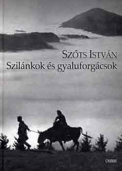 Szts Istvn - Szilnkok s gyaluforgcsok