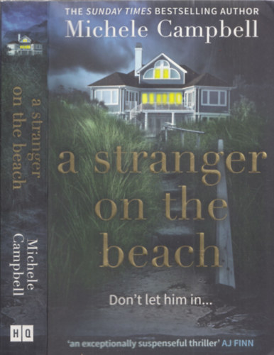 Michele Campbell - A Stranger on the Beach