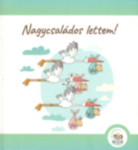 Vida Mrta  (Szerk.) - Nagycsaldos lettem!