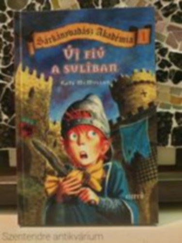 Kate McMullan - Új fiú a suliban(Saját képpel)