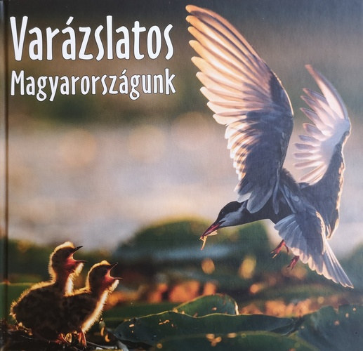 Gal Pter - Ldcs-Kiss Tams  (szerk.) - Varzslatos Magyarorszgunk 2018