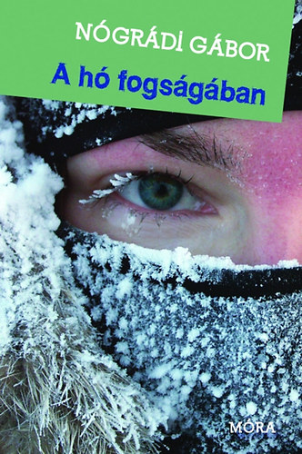Nógrádi Gábor - A hó fogságában