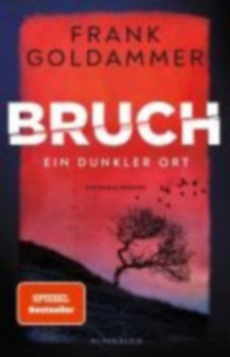 Frank Goldammer - Bruch: Ein dunkler Ort