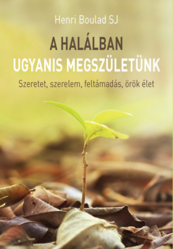 Henri Boulad SJ - A hallban ugyanis megszletnk