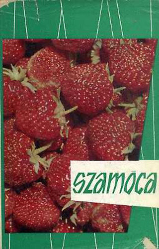Simánek-Cvopová - Szamóca