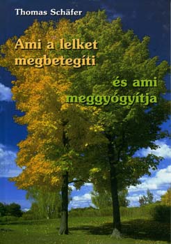 Thomas Schfer - Ami a lelket megbetegti s ami meggygytja