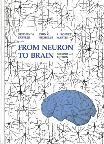 Kuffler - Nicholls - Martin - From Neuron to Brain (Az idegsejtt�l az agyig - angol nyelv�)