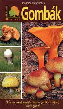Karin Montag - Gomb�k