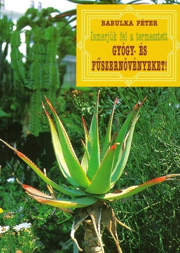 Babulka P�ter - Ismerj�k fel a termesztett gy�gy-�s f�szern�v�nyeket