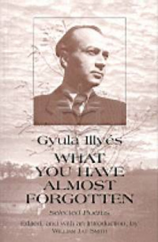 Gyula Ill�s - What you have almost forgotten (selected poems)