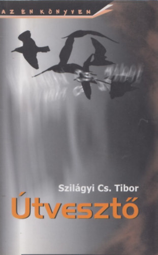 Szil�gyi Cs. Tibor - �tveszt�