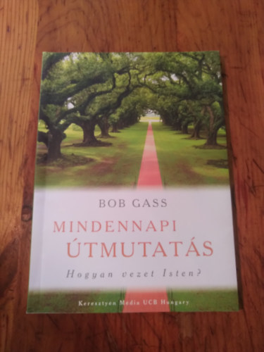 Bob Gass - Mindennapi útmutatás