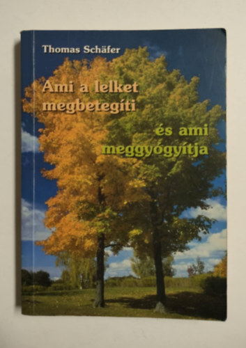 Thomas Schfer - Ami a lelket megbetegti, s ami meggygytja - Bert Hellinger pszichoterapeutikai munkssga