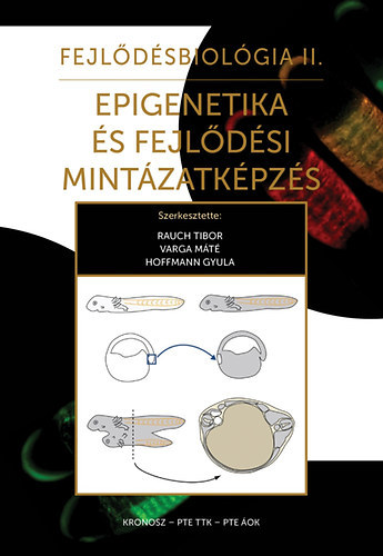 Varga Mt  (szerk.), Hoffmann Gyula (szerk.) Rauch Tibor (szerk.) - Fejldsbiolgia II. - Epigenetika s fejldsi mintzatkpzs