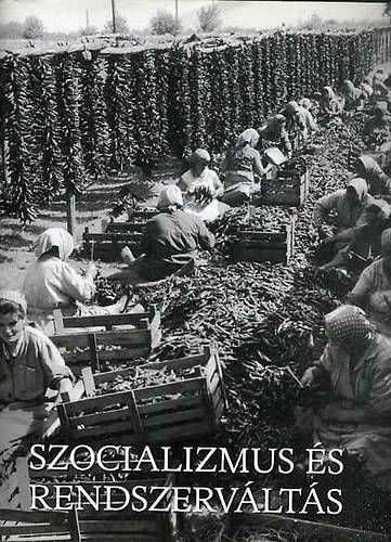 Gyurgy�k J�nos - Magyarorsz�g k�pekben III. / Szocializmus �s rendszerv�lt�s