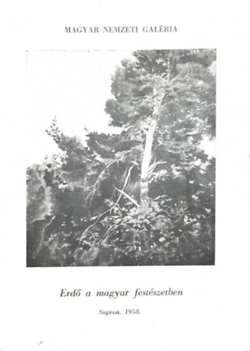 Magyar Nemzeti Gal�ria - Erd� a magyar fest�szetben