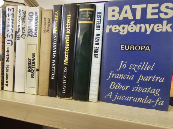 Herv Bazin, Brantome, David Weiss, William Wharton, Gustave Flaubert, Borisz Paszternak, William Styron, Annemarie Selinko, Cronin Norman Bates - 10db vilgirodalmi ktet, KNYVMENT AJNLAT: Bates regnyek+ Exfelesg+ Kacr hlgyek+ Meztelenl jttem+ Madrka+ Bovaryn+ Zsivago doktor+ Sophie vlaszt+ Dsire+ A hattycmeres kastly