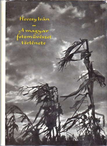 Hevesy Iv�n - A magyar fot�m�v�szet t�rt�nete