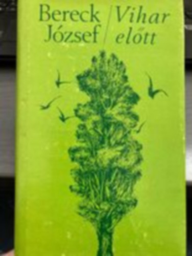 Bereck József - Vihar előtt